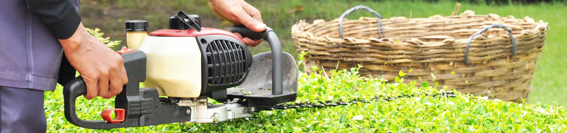groendienst bij maatwerkbedrijf AMAB